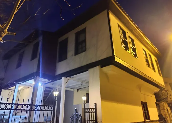 Antique House